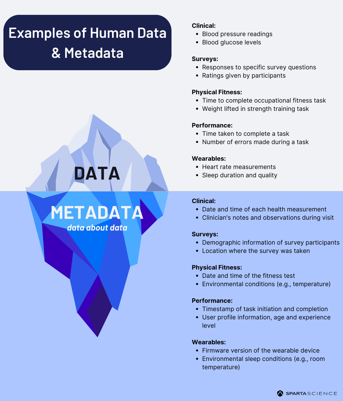 Blog Examples of Meta Data