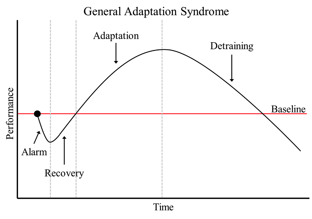 General Adaptation